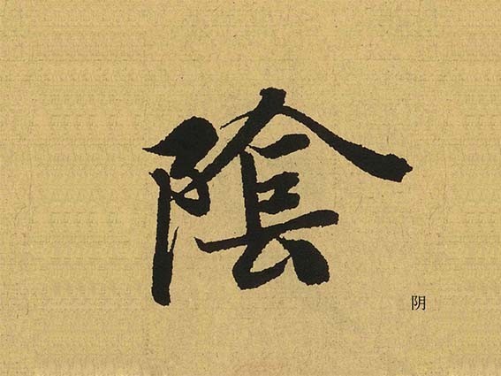 阴