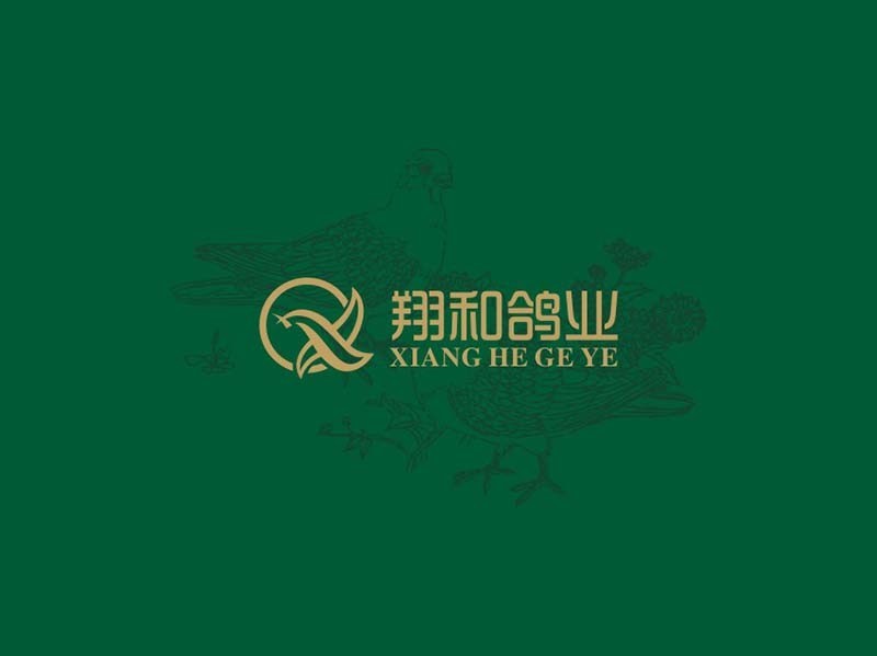 和平鸽 翔和鸽业