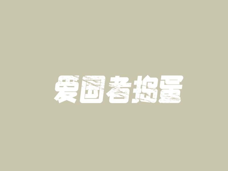 爱国者捣蛋