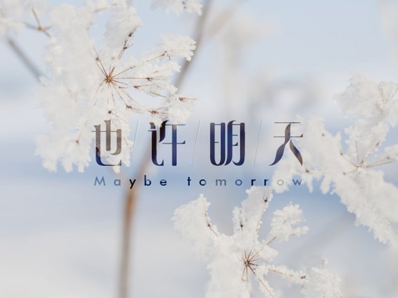 也许明天