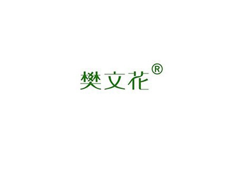 樊文花