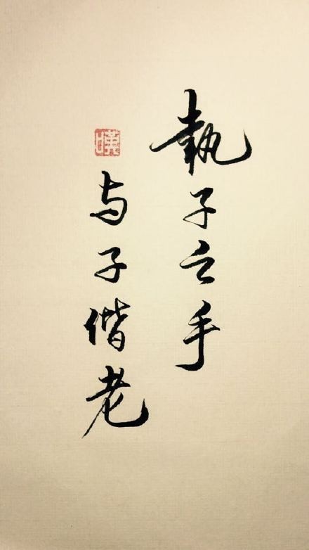 执子之手 与子偕老