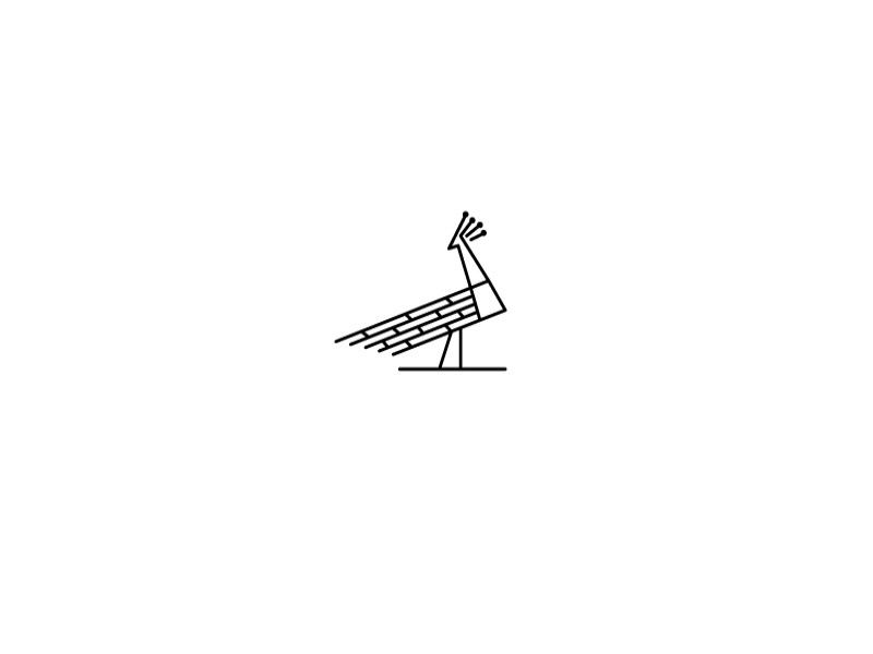 孔雀