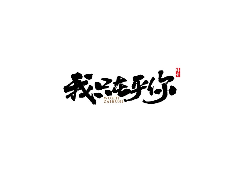 我只在乎你
