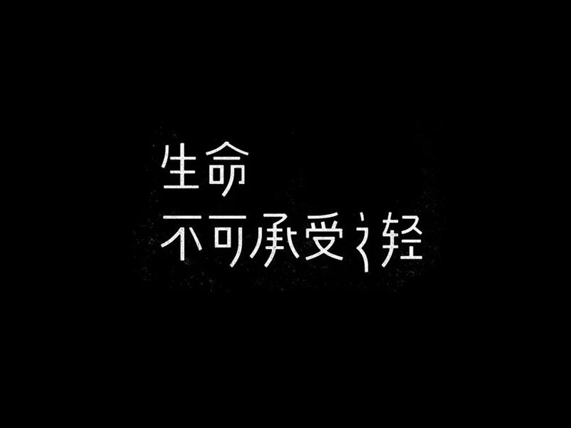 生命不可承受之轻
