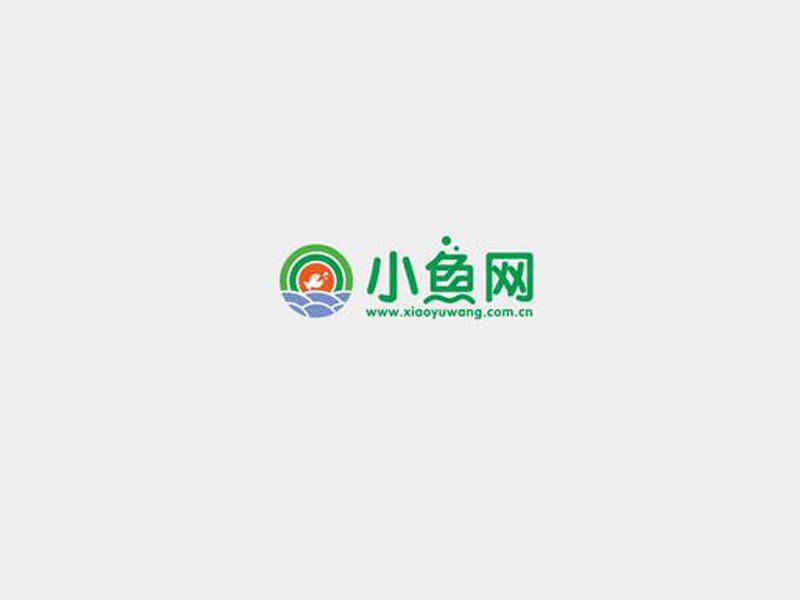 小鱼网
