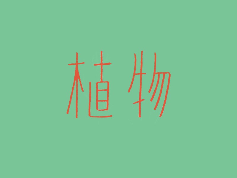 植物