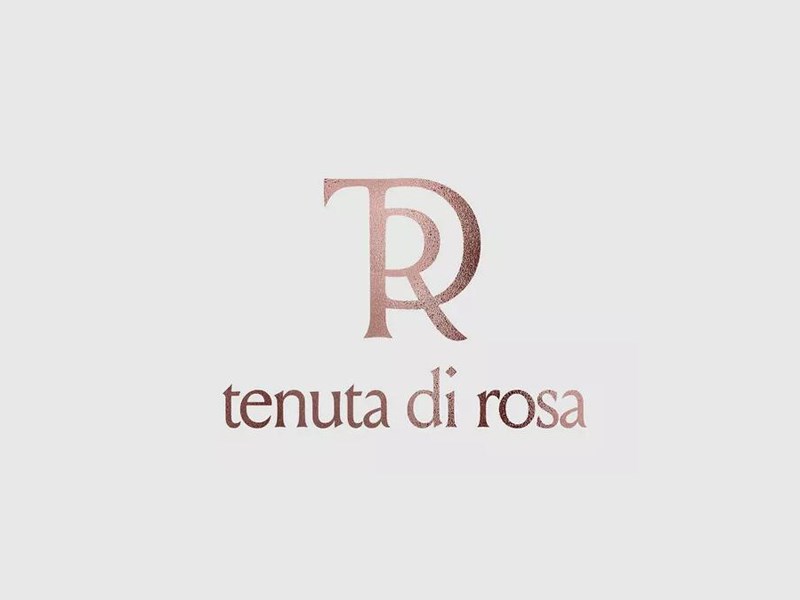tdr