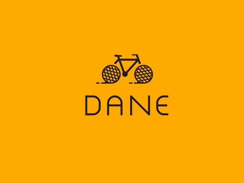 DANE 自行车