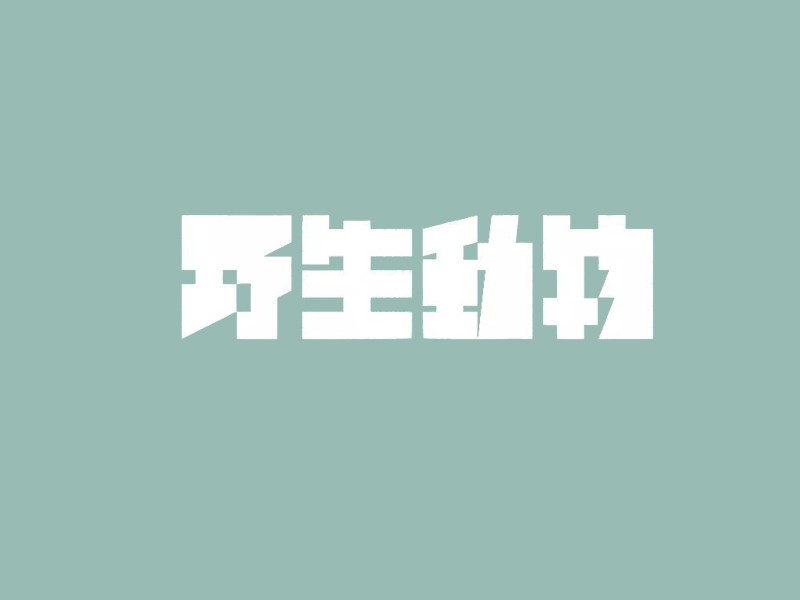 野生动物