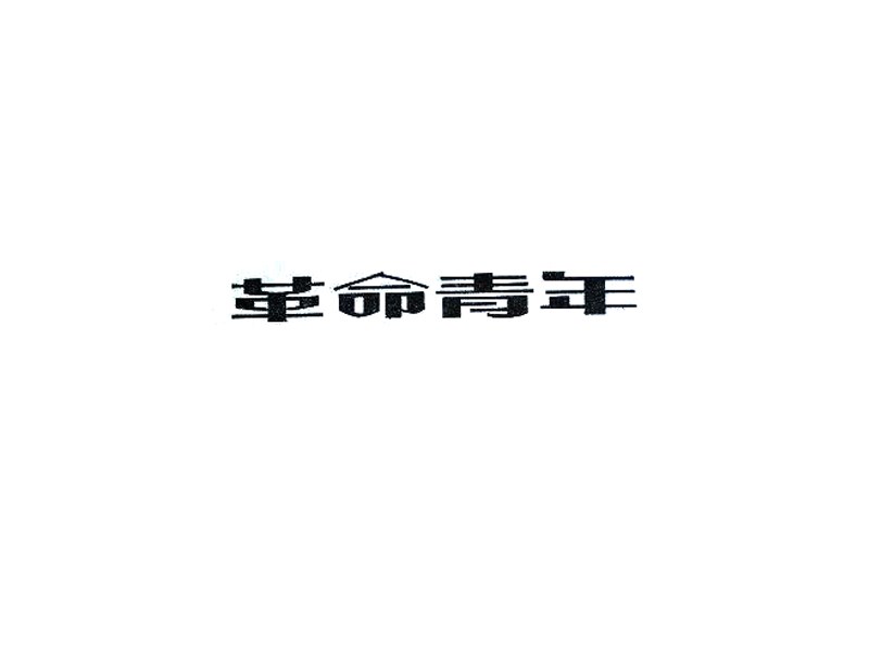 革命青年