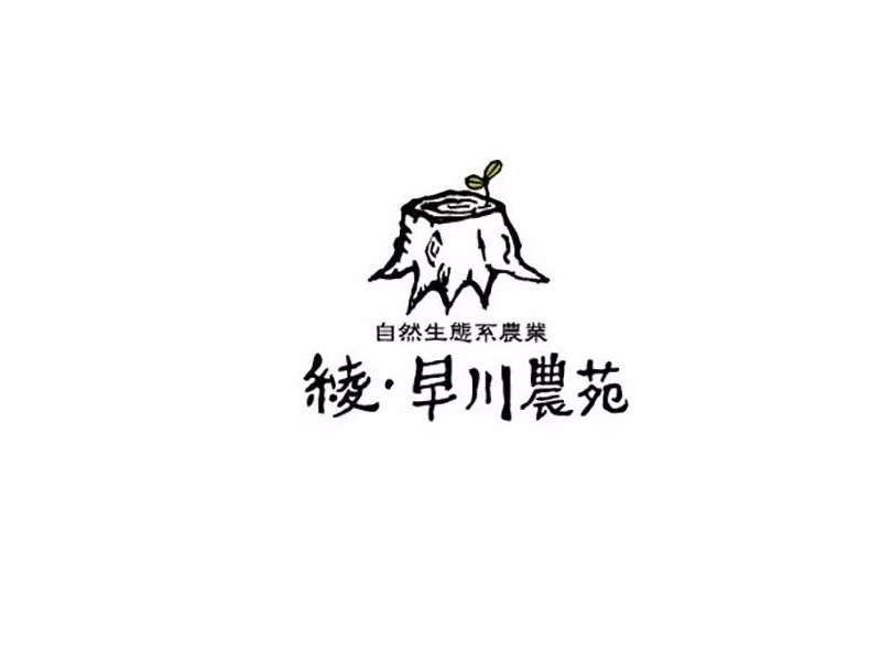 绫早穿农苑