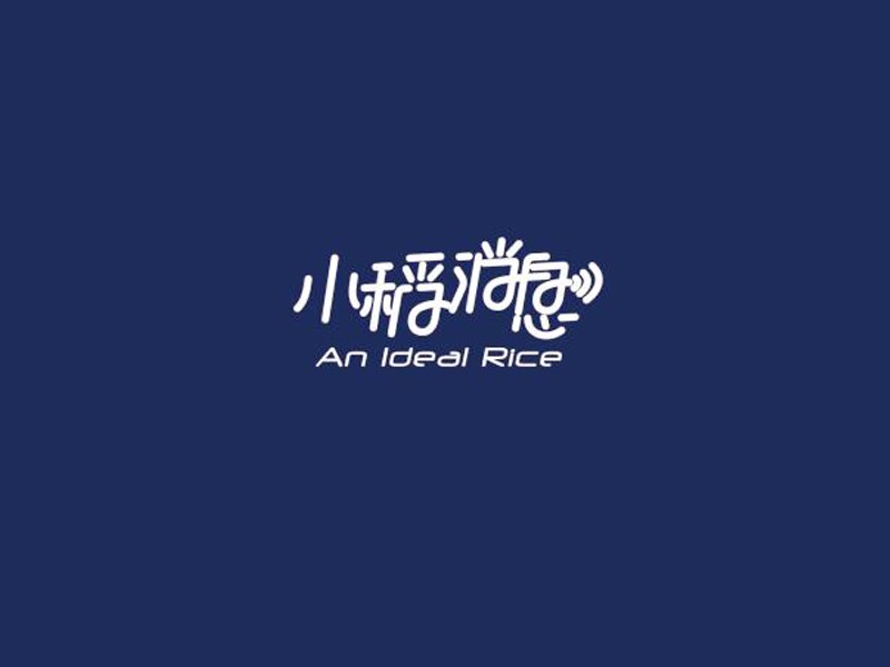 小稻消息