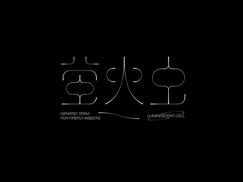 萤火虫