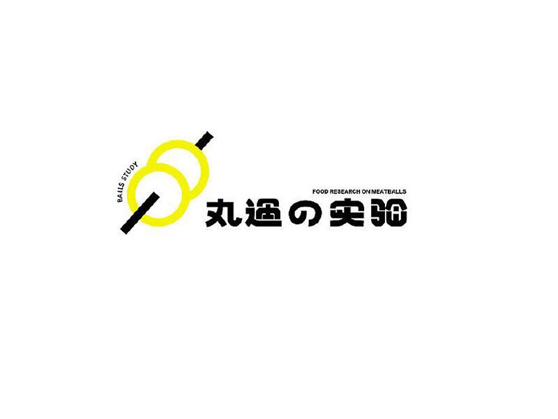 丸过实验