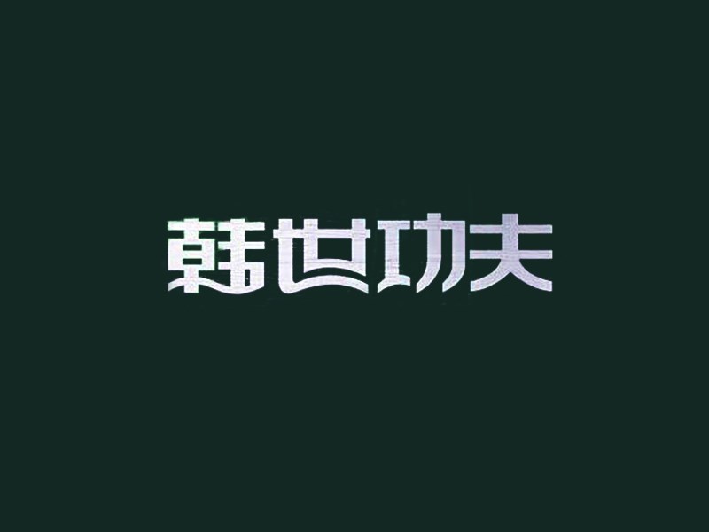 韩世功夫