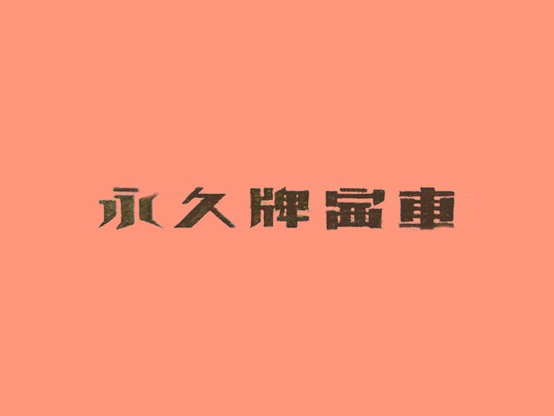 永久牌单车