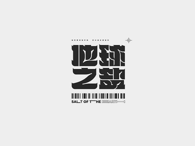 地球之盐