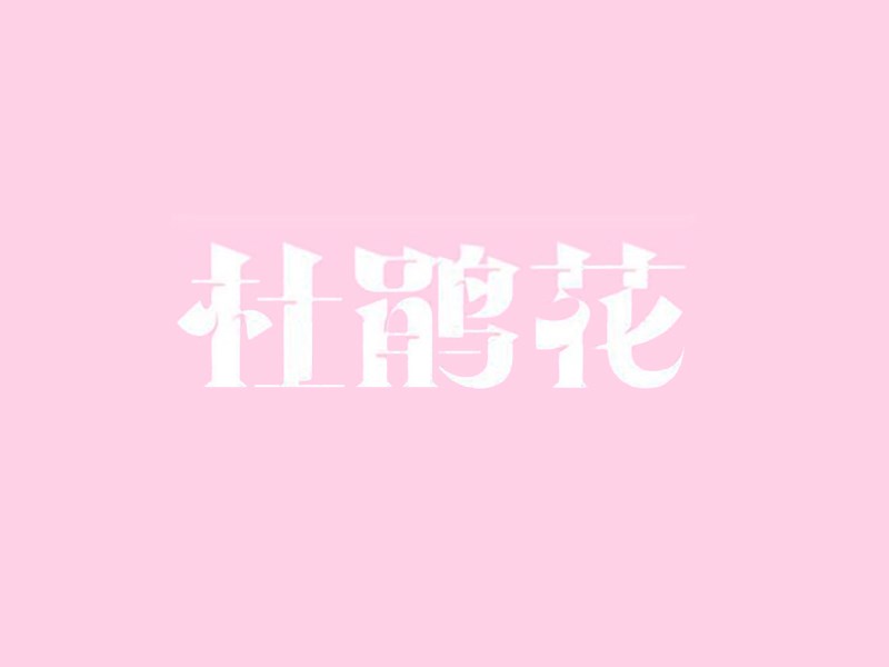 杜鹃花