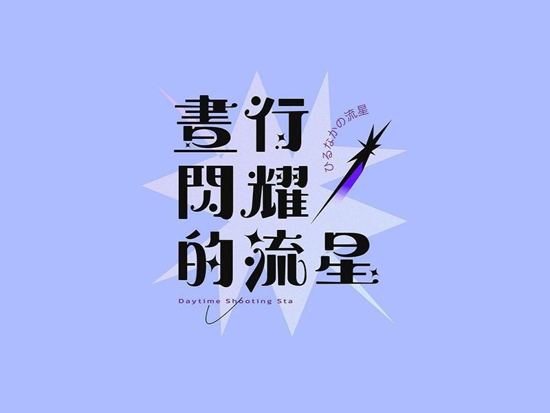 书行闪耀的流星