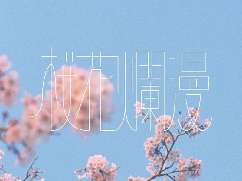 樱花烂漫